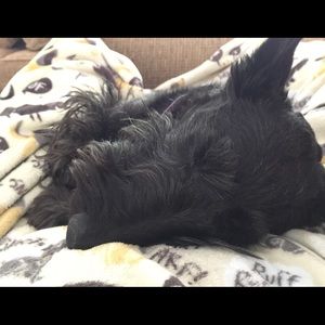 Meet your Posher, Leah